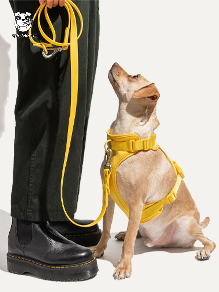 Pet Waterproof Hand Holding Vest Style Chest Strap & Leash Set