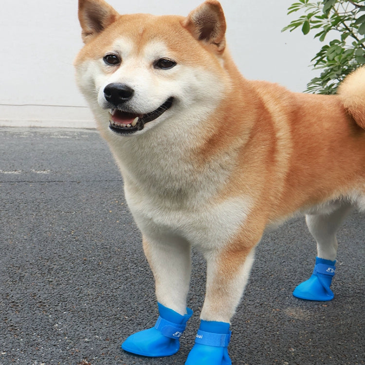 Dog Waterproof Rain Shoes Or Raincoats To Stay Nice & Dry Outdoors