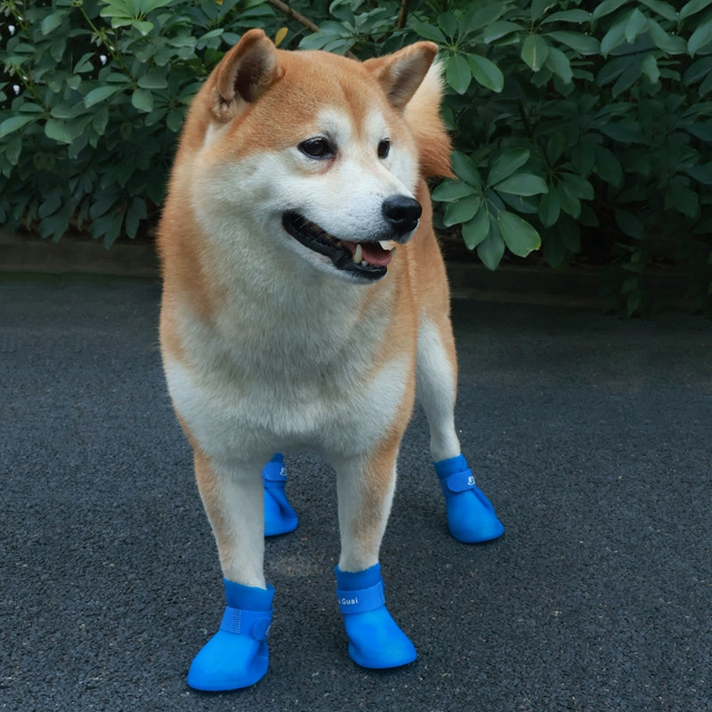 Dog Waterproof Rain Shoes Or Raincoats To Stay Nice & Dry Outdoors