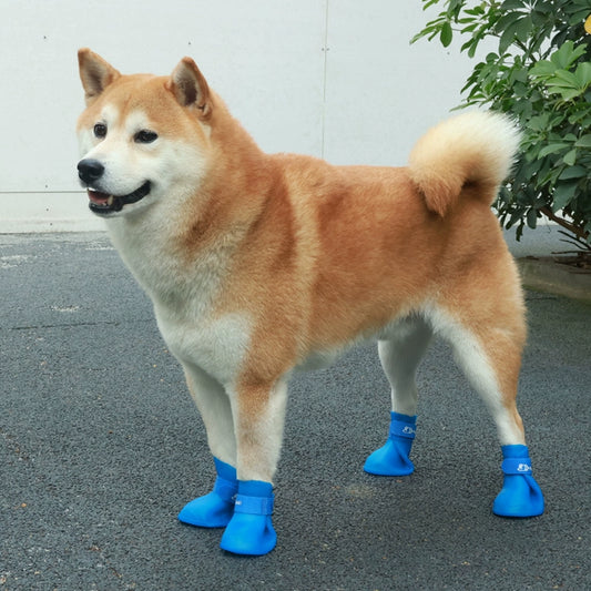 Dog Waterproof Rain Shoes Or Raincoats To Stay Nice & Dry Outdoors