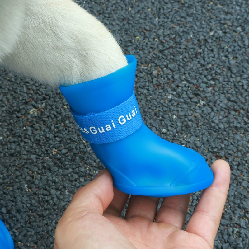 Dog Waterproof Rain Shoes Or Raincoats To Stay Nice & Dry Outdoors