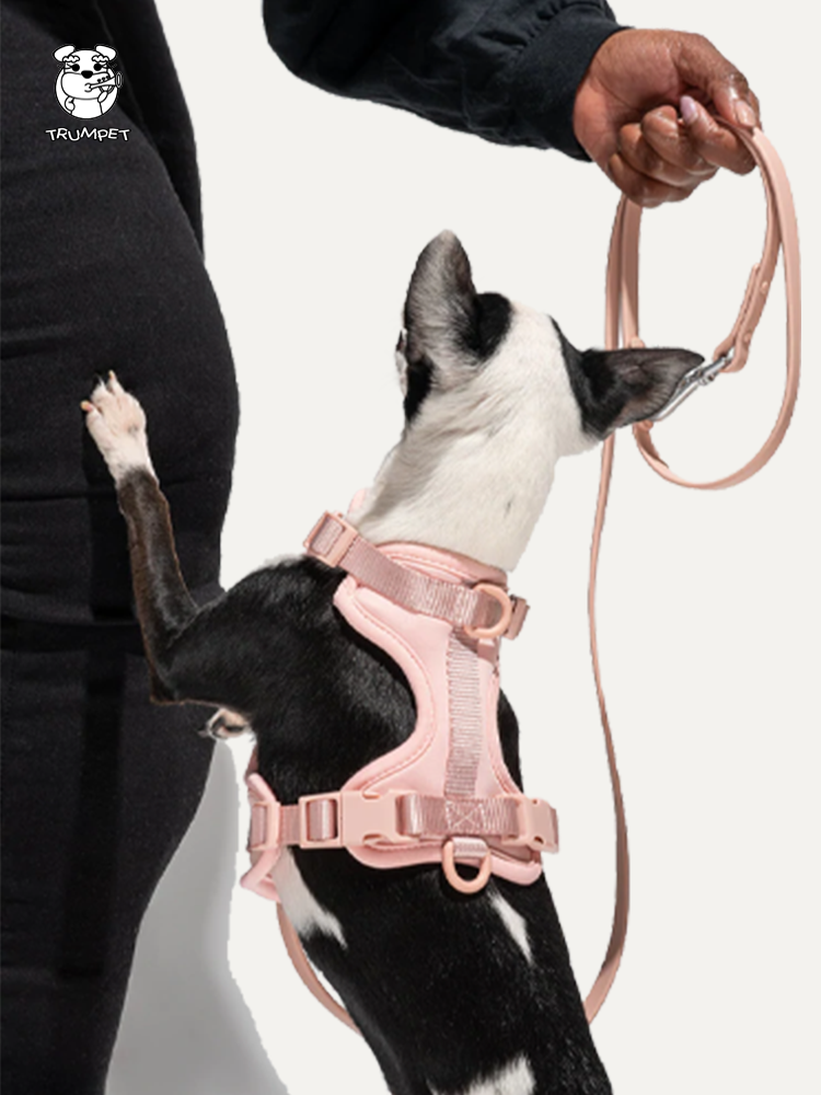 Pet Waterproof Hand Holding Vest Style Chest Strap & Leash Set