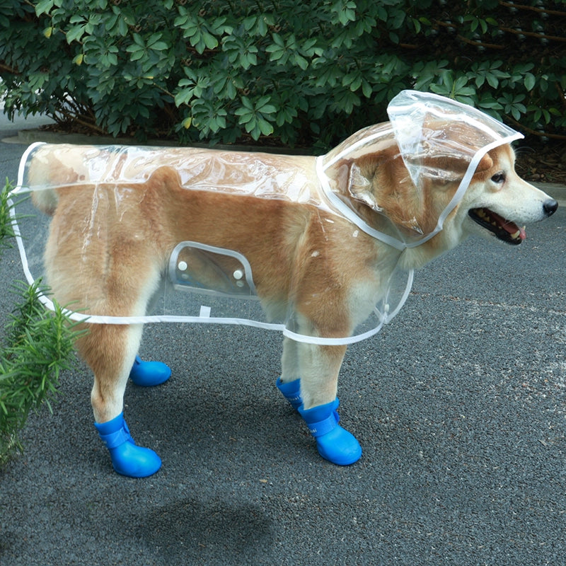 Dog Waterproof Rain Shoes Or Raincoats To Stay Nice & Dry Outdoors